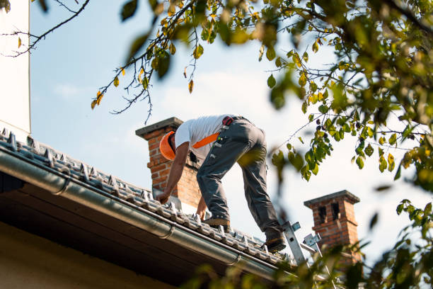 Best Storm Damage Roof Repair  in Millville, NJ